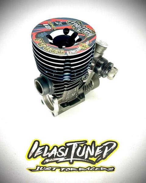 IELASI TUNED .21 Engine Modified Buggy Offroad (1) - TERRA